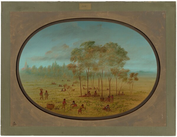 George Catlin, Kiowa Indians Gathering Wild Grapes