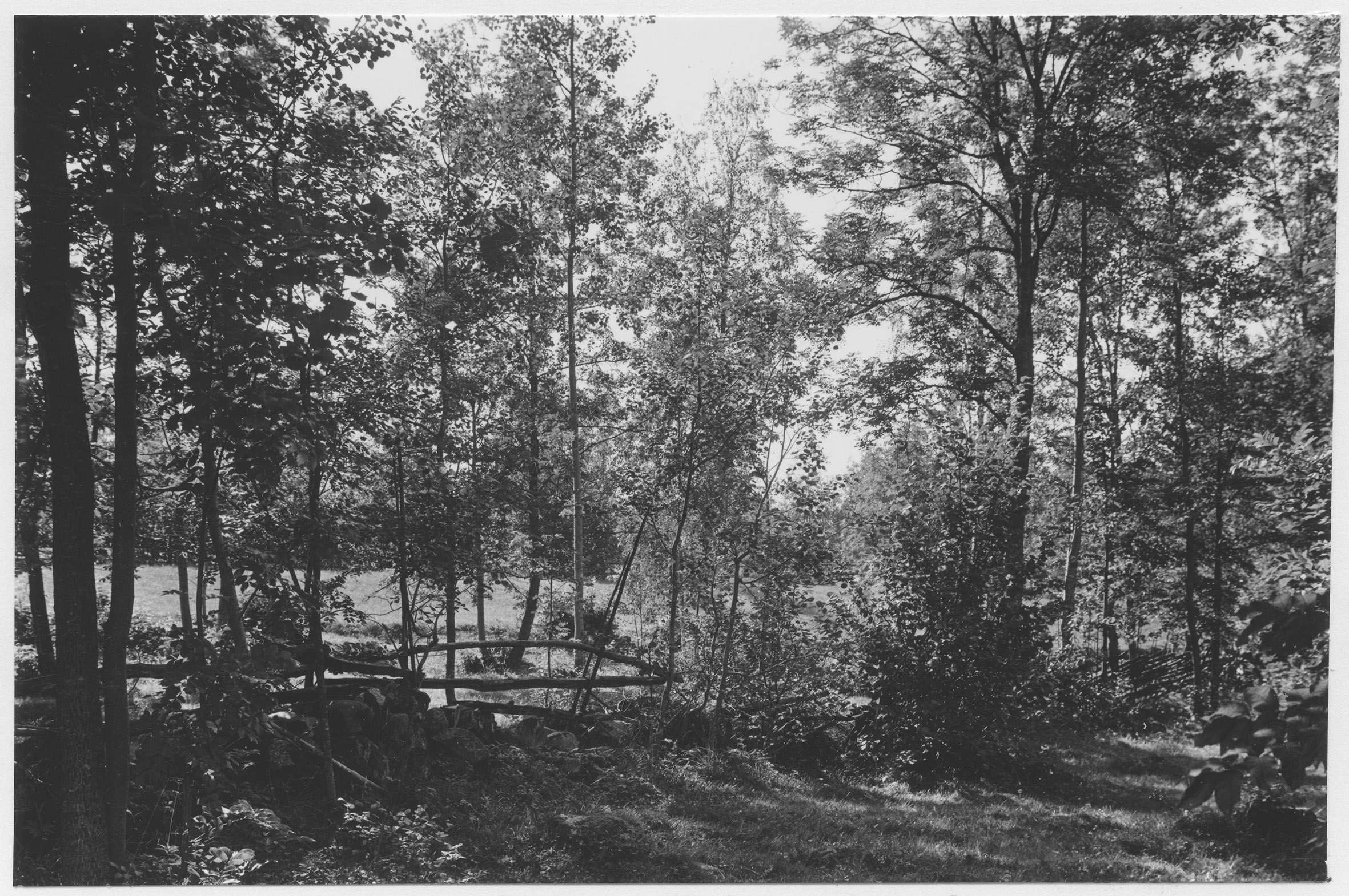 Mårten Sjöbeck, Undens östra strand