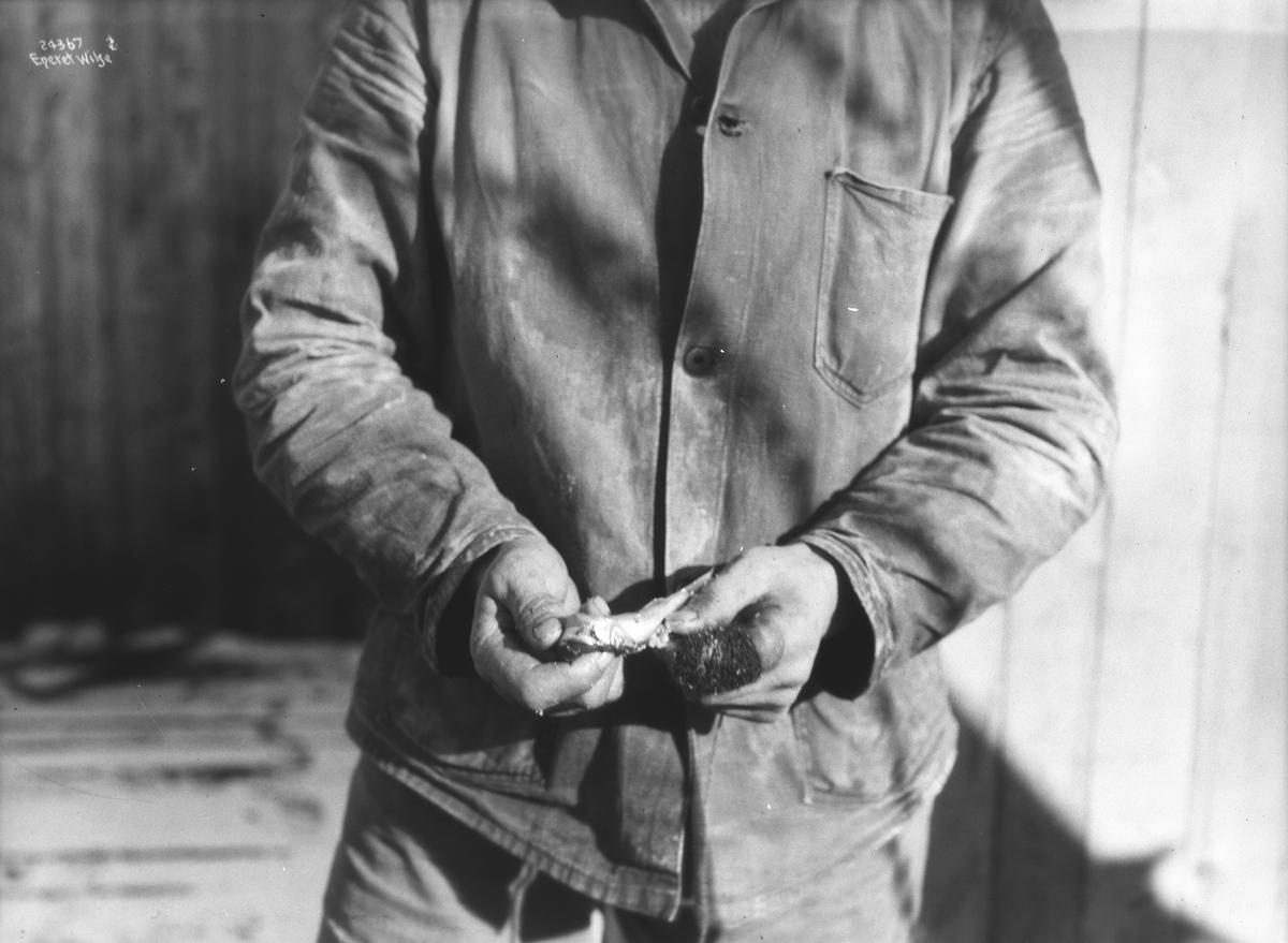 Anders Beer Wilse, Prot: Linen agnes