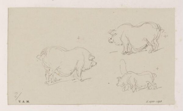 George Chinnery, Drawing