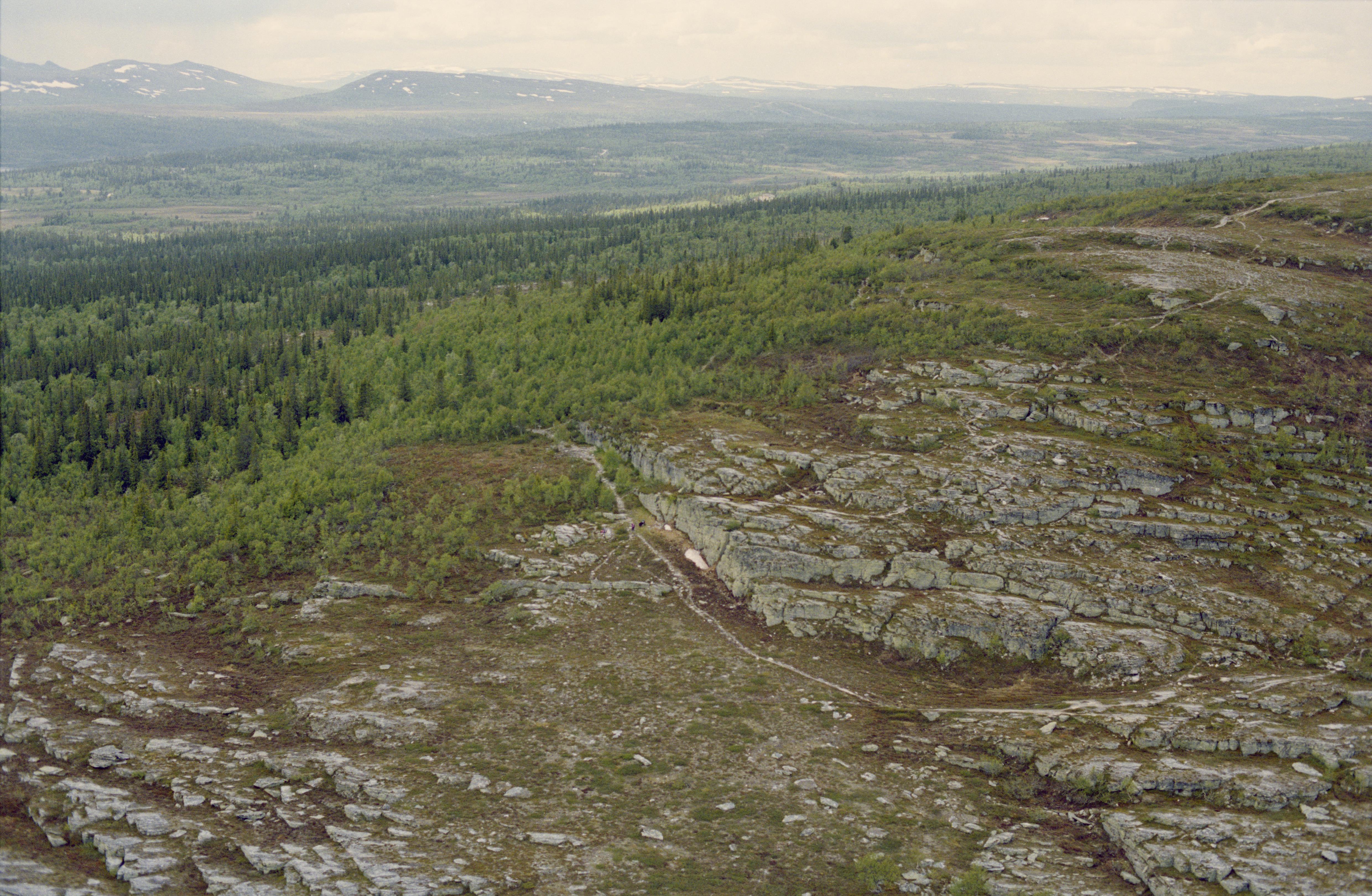 Jan Norrman, Tännäs 58:1