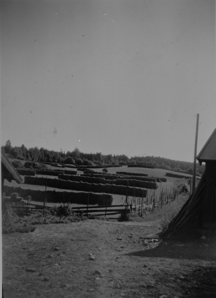 Anno Domkirkeodden, HØYONN, HØYHENGER, HESJER SKRAMSTAD VESTRE,
