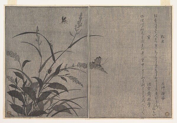 Kitagawa Utamaro, Tree cricket (Matsumushi); Firefly (Hotaru), from the Picture Book of Crawling Creatures (Ehon mushi erami)