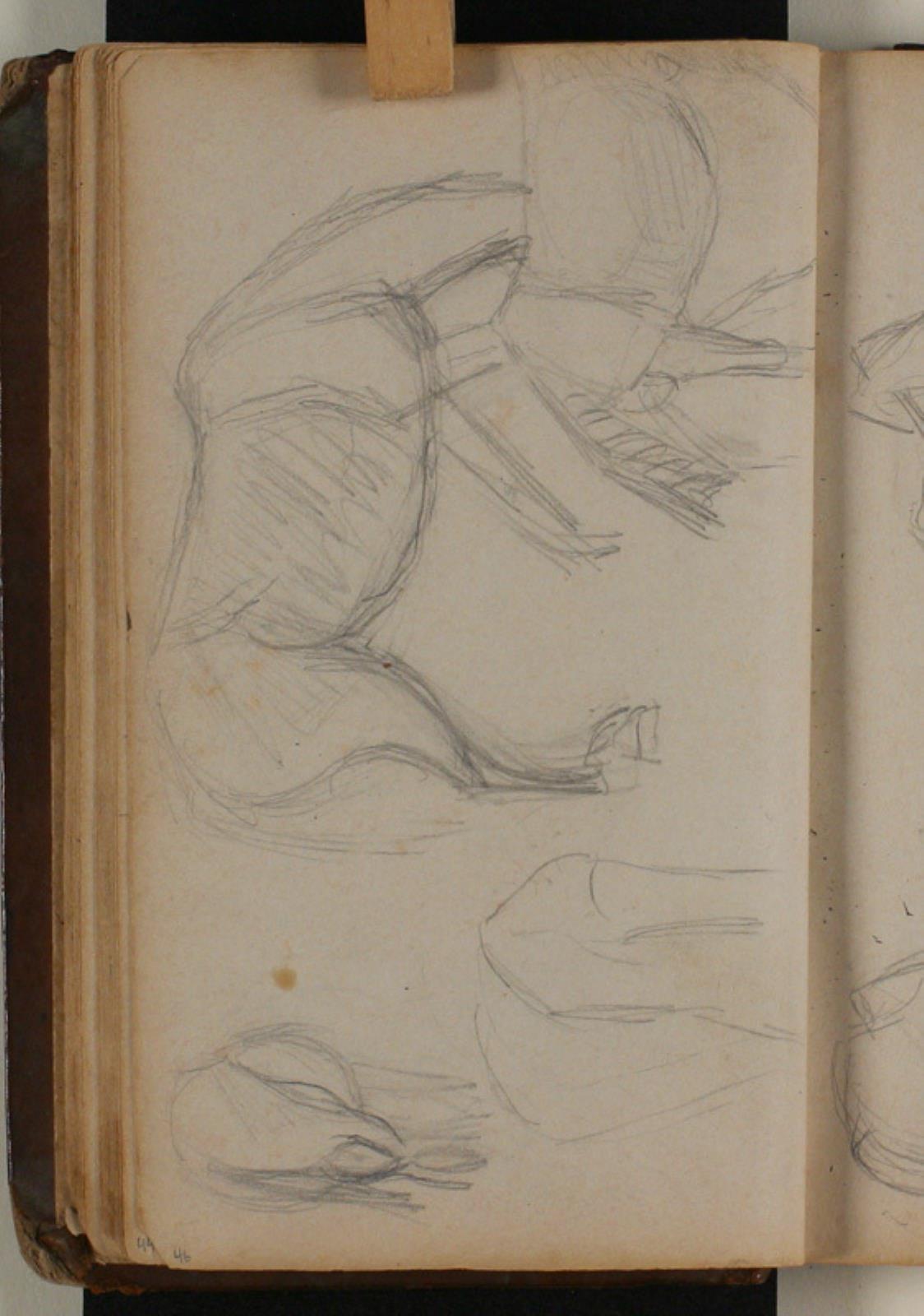 Niels Larsen Stevns, Studier af heste