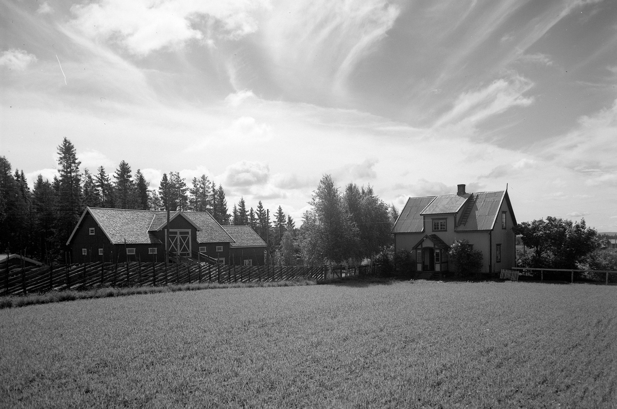 Anno Domkirkeodden, EKSTR: GARDSTUN, HOLHJEM. Se Løtenboka, bind 2. Bygdeboka fra 1953, side 326