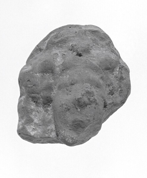 Unknown, Female Head Fragment