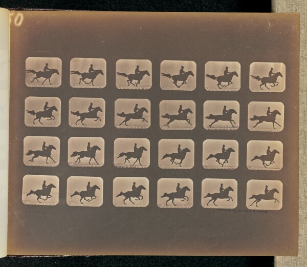Eadweard J. Muybridge, Leaping