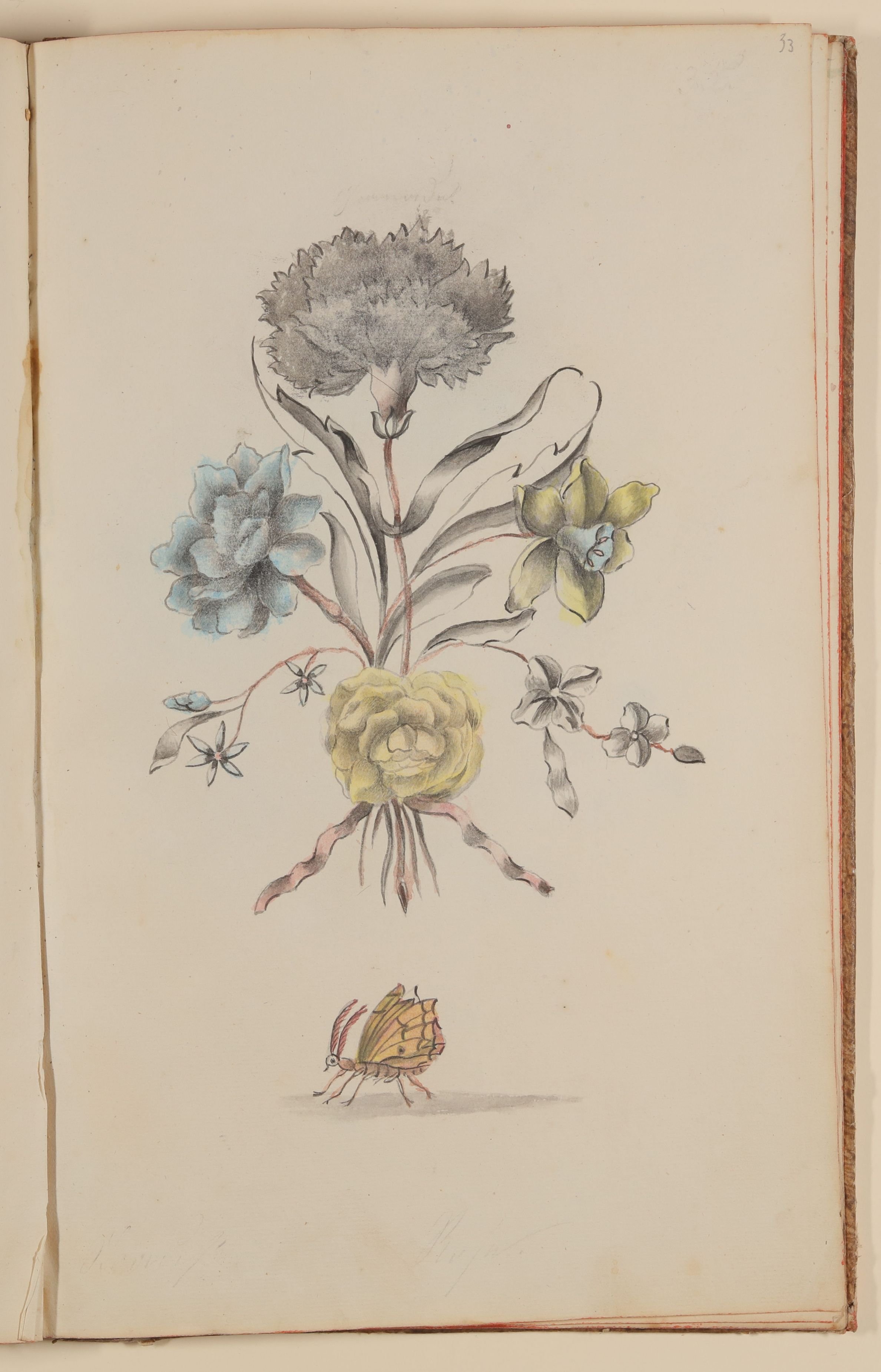 Marianne Franziska Seiffert von Klettenberg, Blumenstrauß und Schmetterling [aus einem Skizzenbuch der Marianne Franziska Seiffert von Klettenberg]