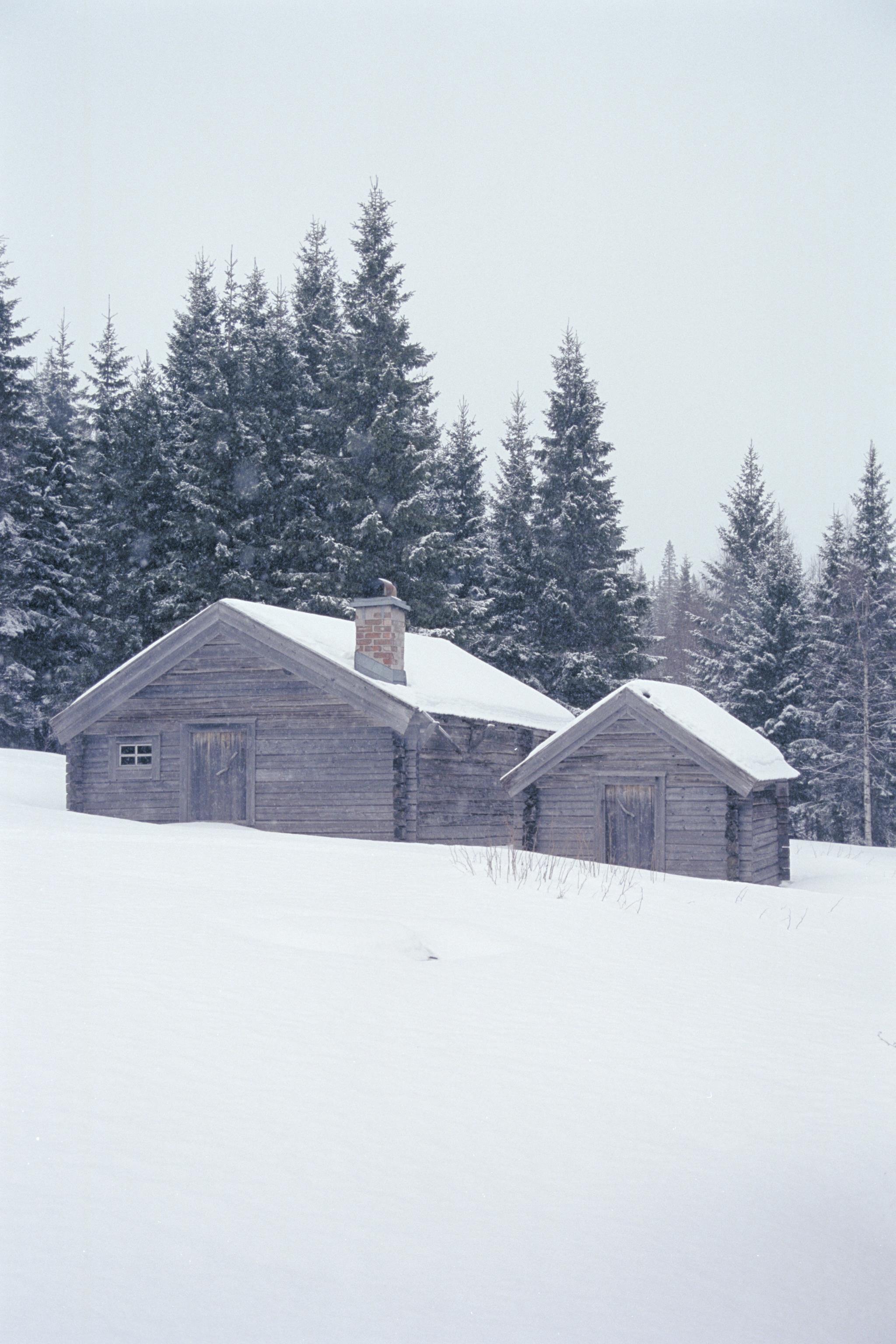 Bengt A Lundberg, Skuleskogens Nationalpark