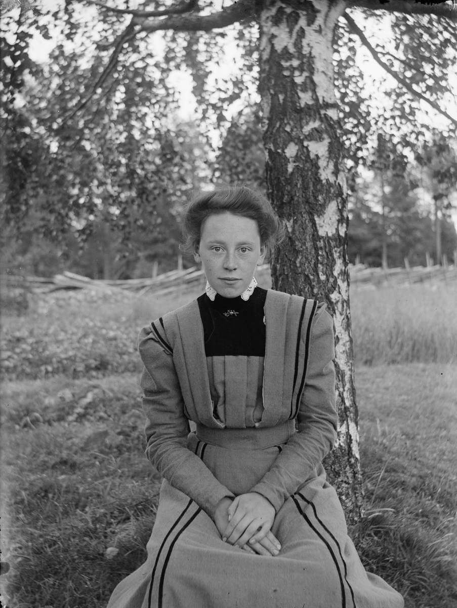 Josef Ärnström, Kvinna framför björk