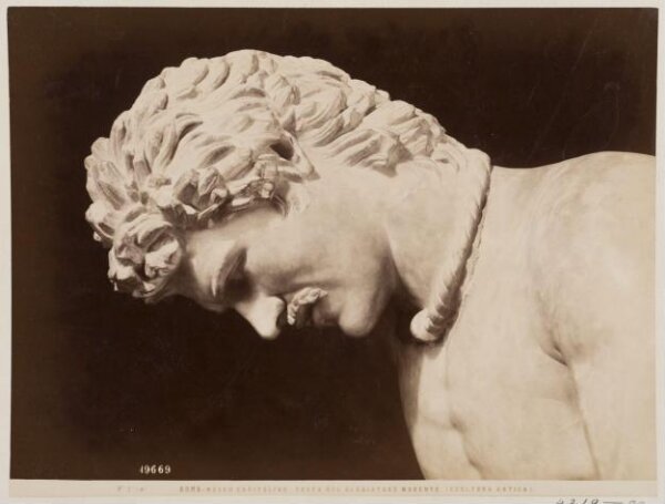 Fratelli Alinari, Photograph