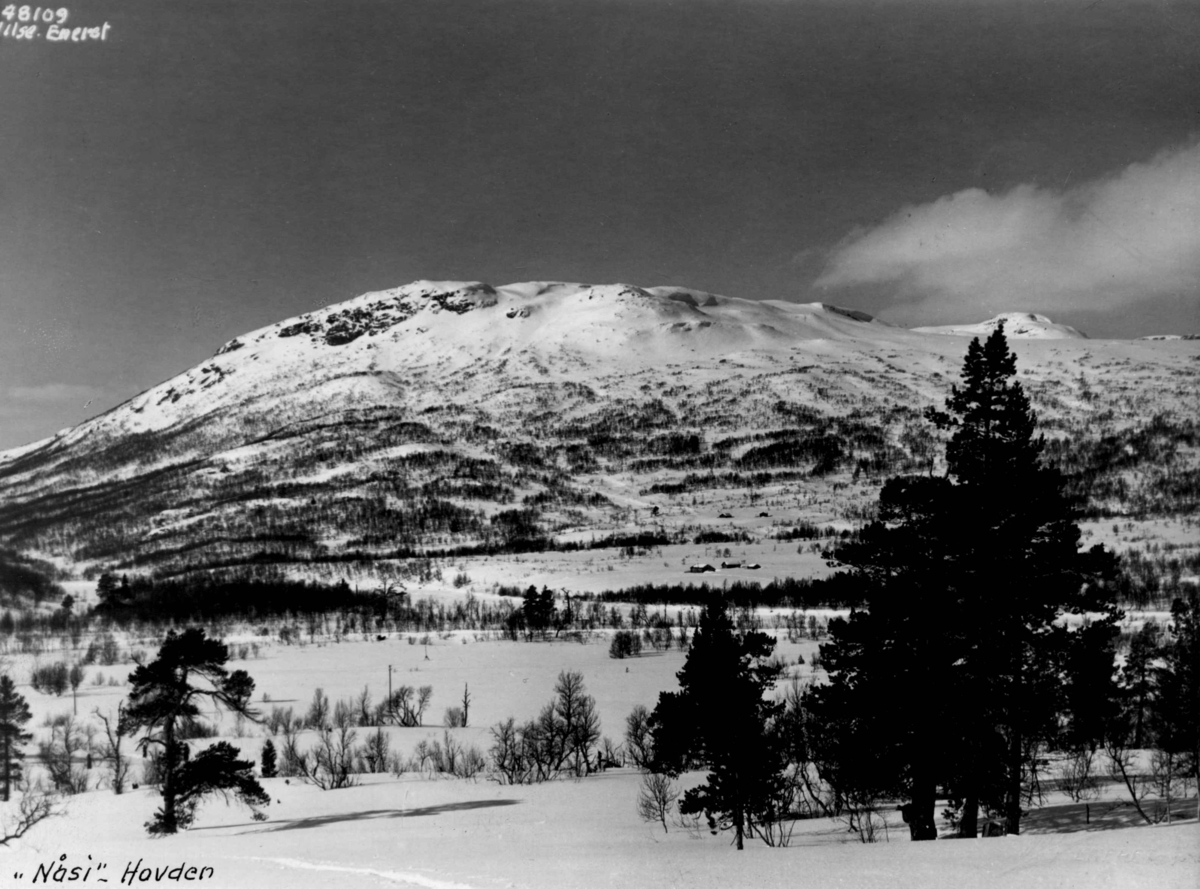Anders Beer Wilse, Landskap, vinter, sno, Hovden.