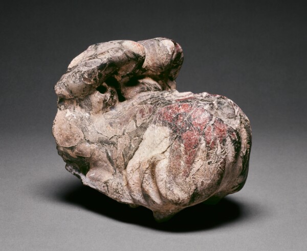 Unknown, Head of a Sea Monster