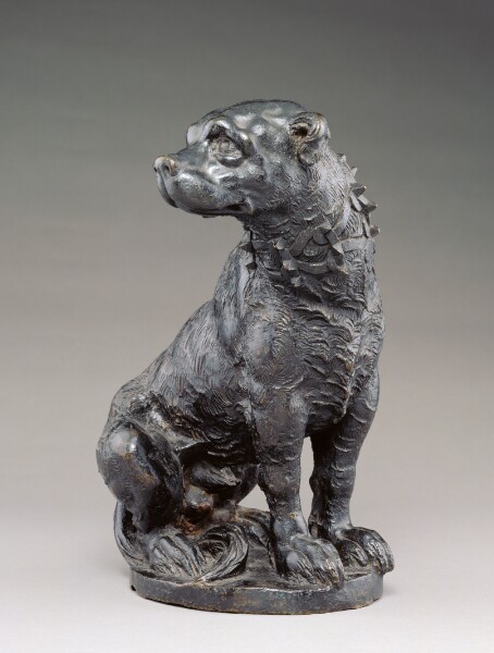 Unknown, Dog