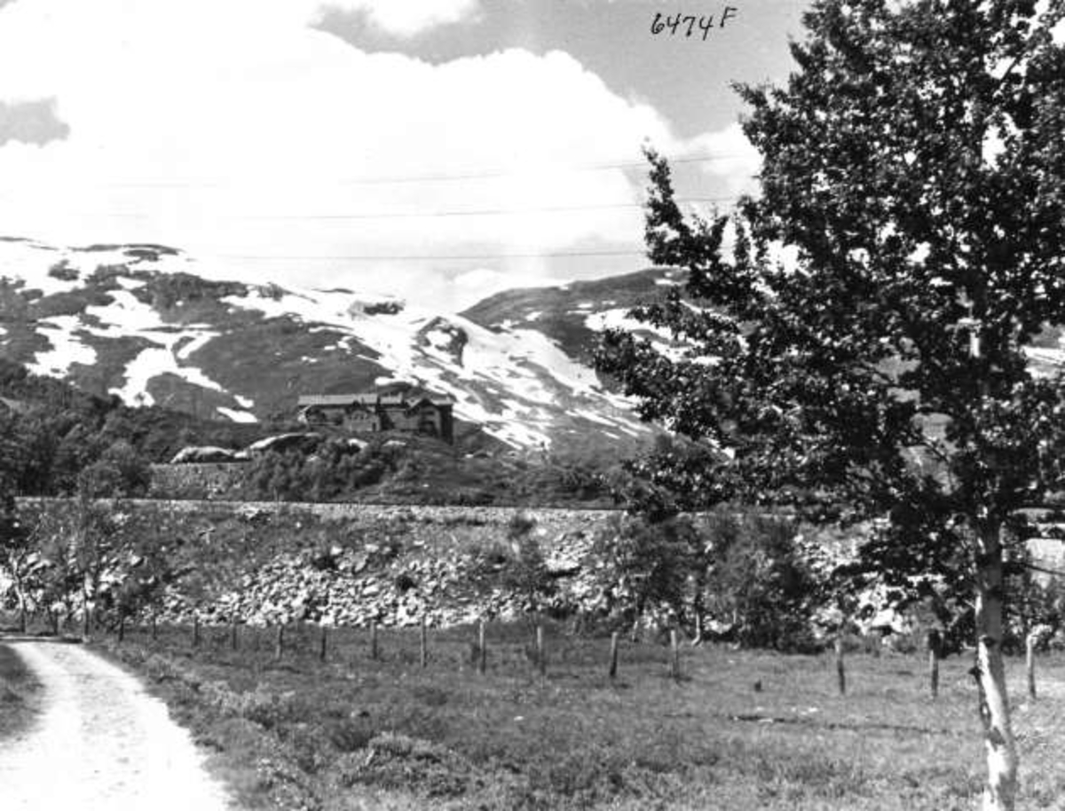 Anders Beer Wilse, -6005
