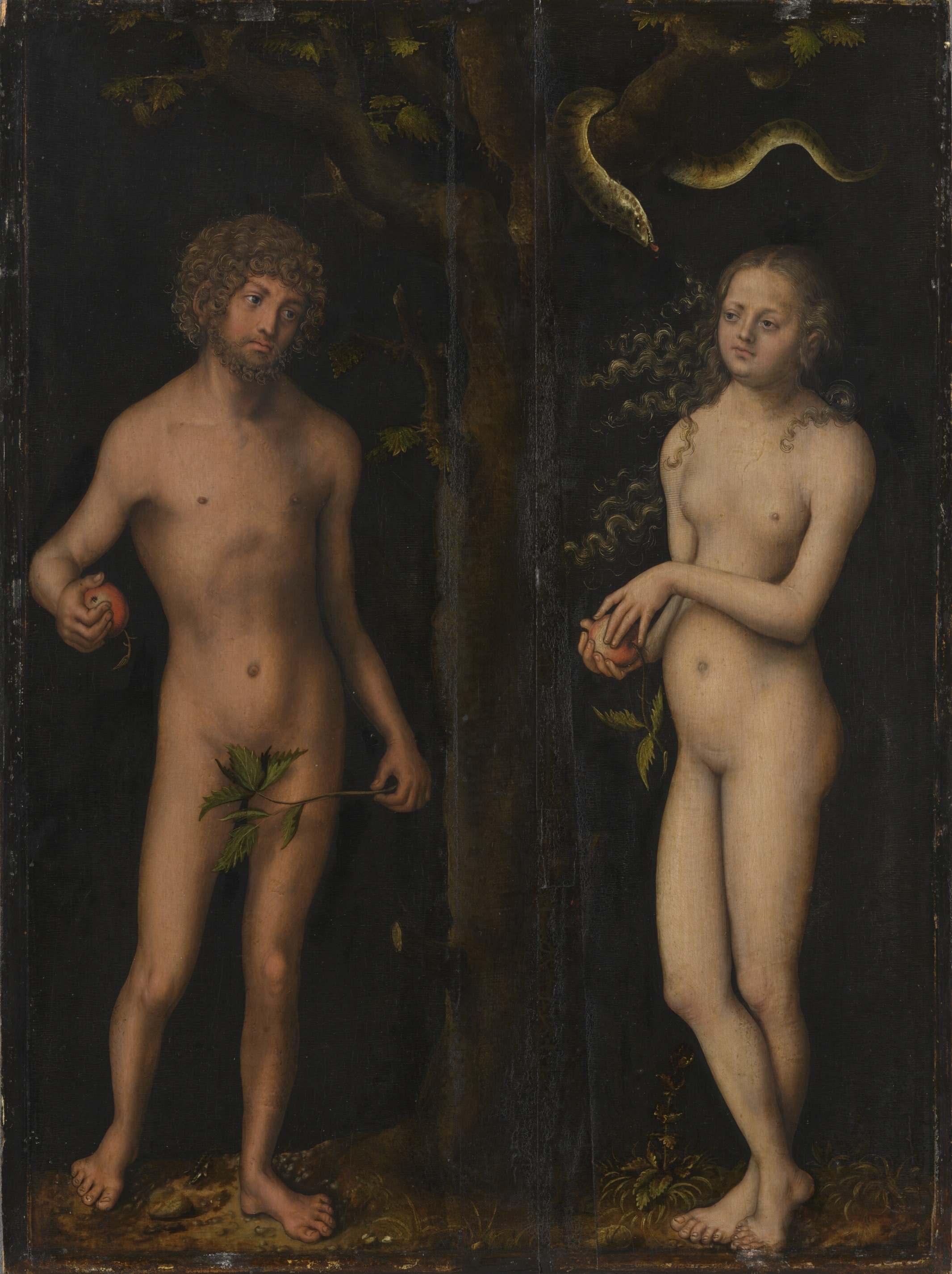 Lucas Cranach the Elder, Adam and Eve
