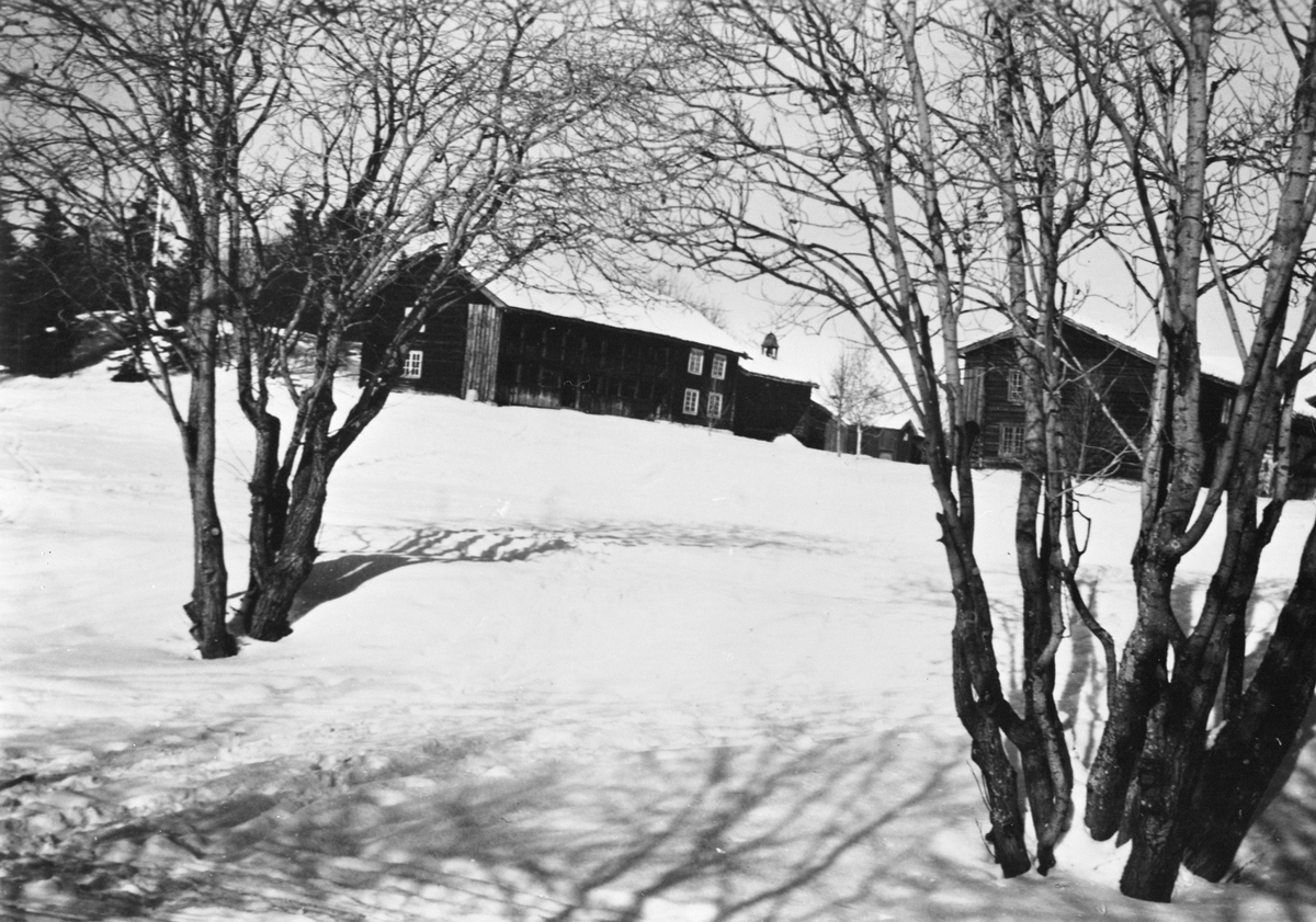 Anno Domkirkeodden, HEDMARKSTUNET, HUBREDBYGNINGEN, LØKENSTABBURET, GRIMSRUDBYGNINGEN