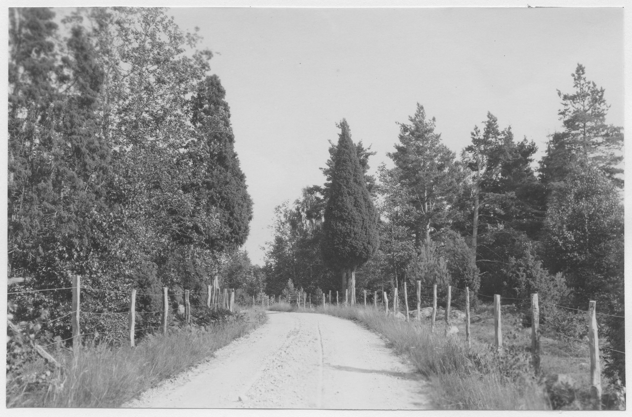 Mårten Sjöbeck, Sirkön