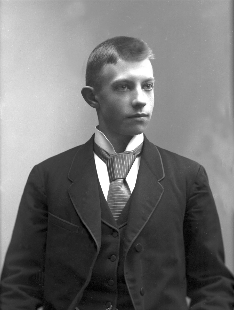Gustav Borgen, NFB.26133