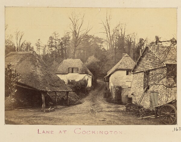 Unknown, Lane at Cockington