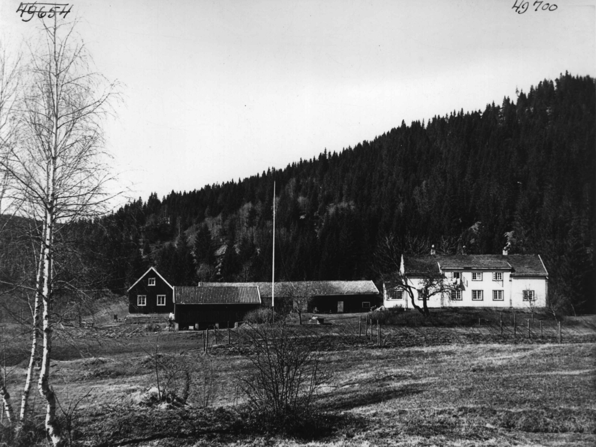 Anders Beer Wilse, Bergsmarka
