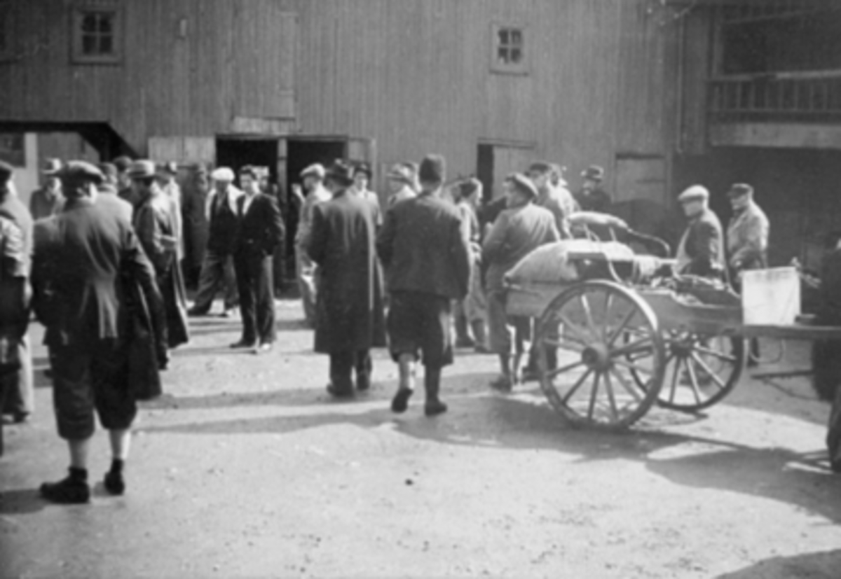 Anno Domkirkeodden, HESTEHANDEL OPLANDSKE GJESTGIVERI, MYE FOLK, STALLGÅRDEN