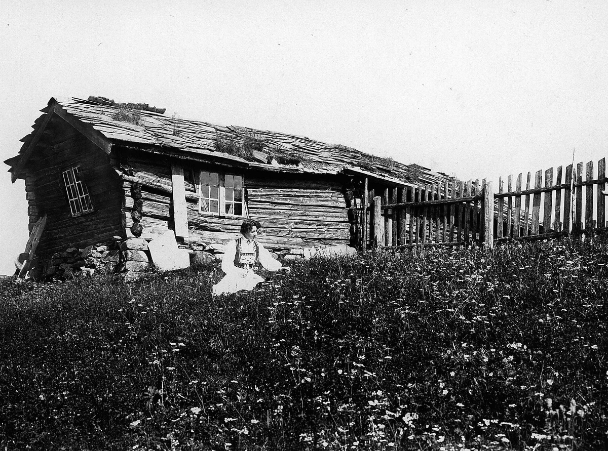 Robert Collett, Kvinne i folkedrakt sittende utenfor våningshus, ukjent sted. Stakittgjerde. Huset har skifertak. Slipestein står opp mot husveggen. Serie tatt av Robert Collett (1842-1913), amatørfotograf og professor i zoologi.