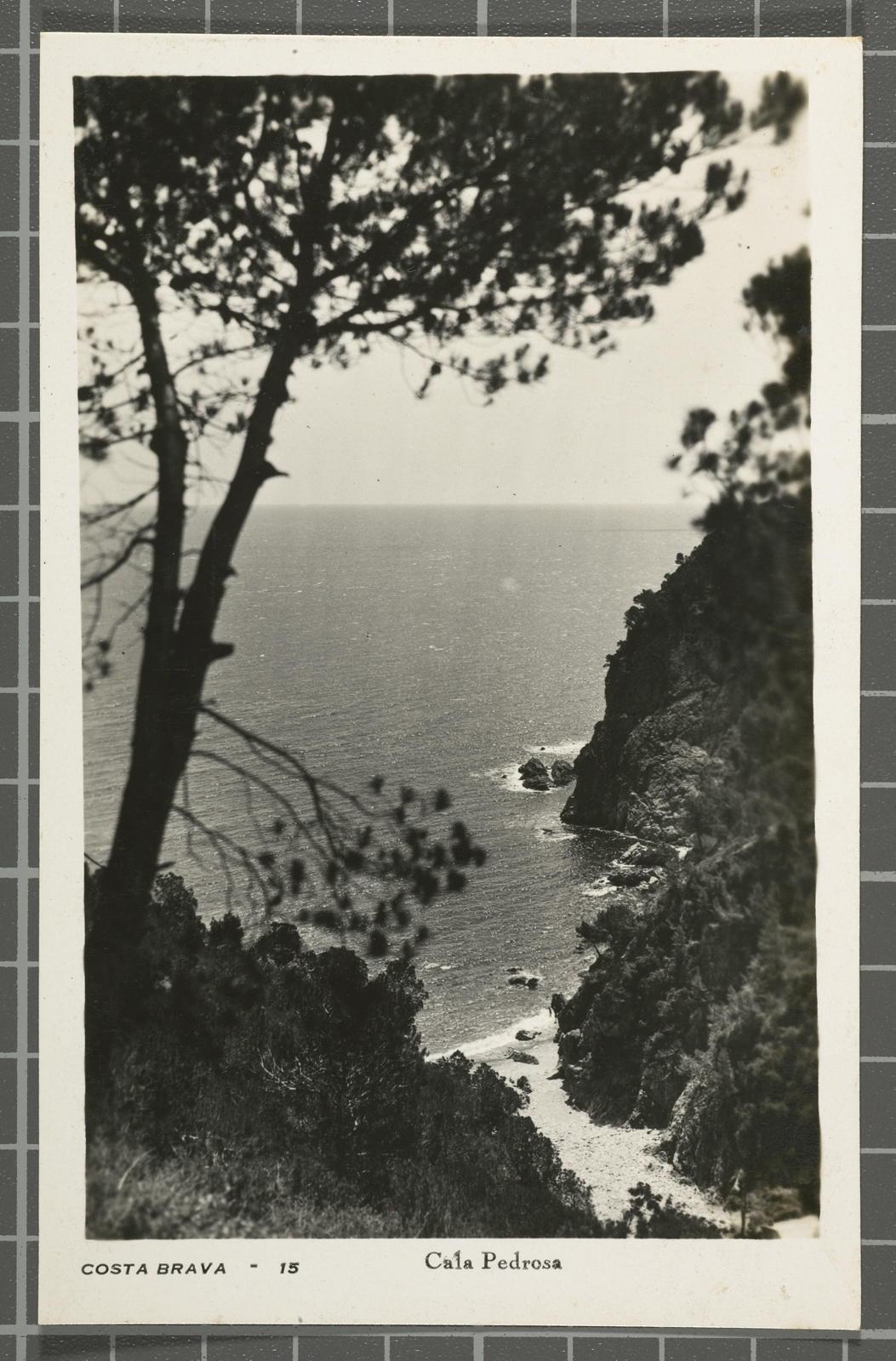 Desconegut, Costa Brava - 15. Cala Pedrosa