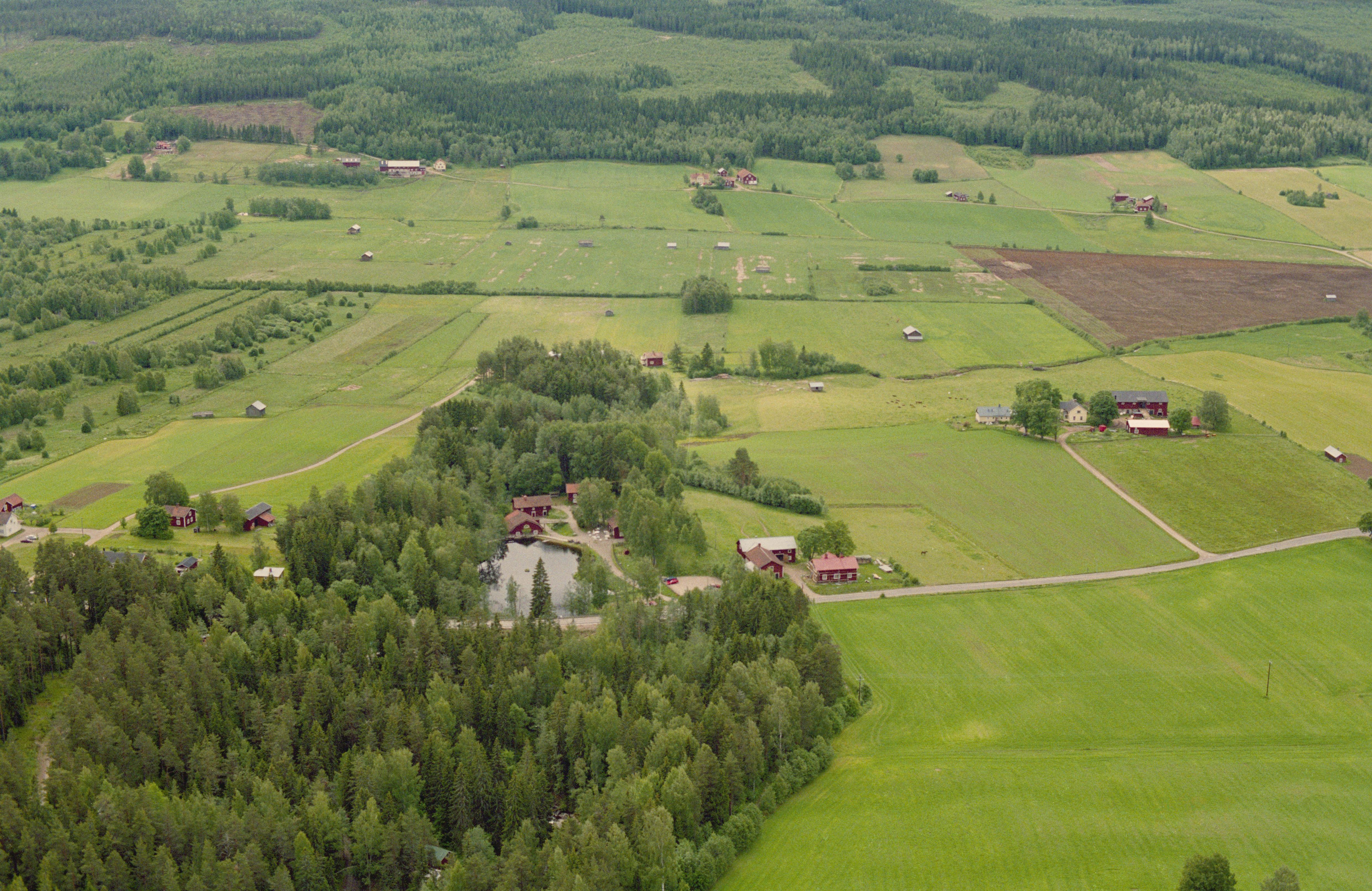 Jan Norrman, Bollnäs 489:1