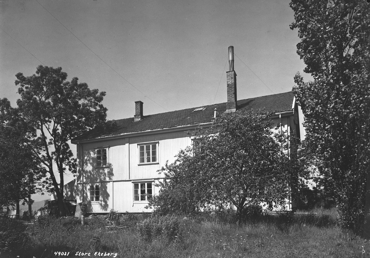 Anders Beer Wilse, Prot: Store Ekeberg