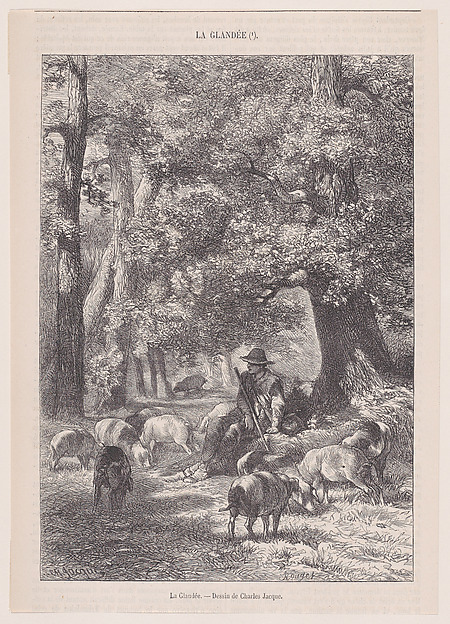 Charles Jacque, La Glandée, from "Le Magasin Pittoresque"
