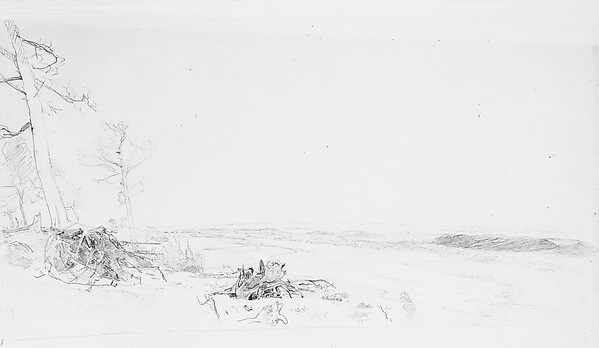 William Trost Richards, Cedar Trees near Atlantic City