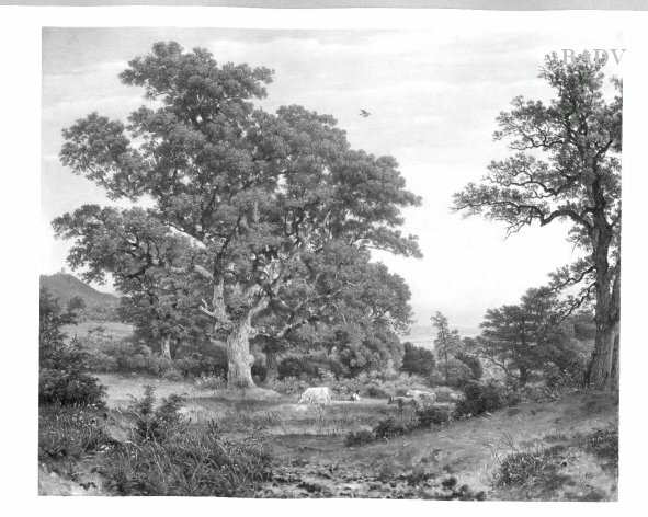 Jakob Alt, Landscape with cows