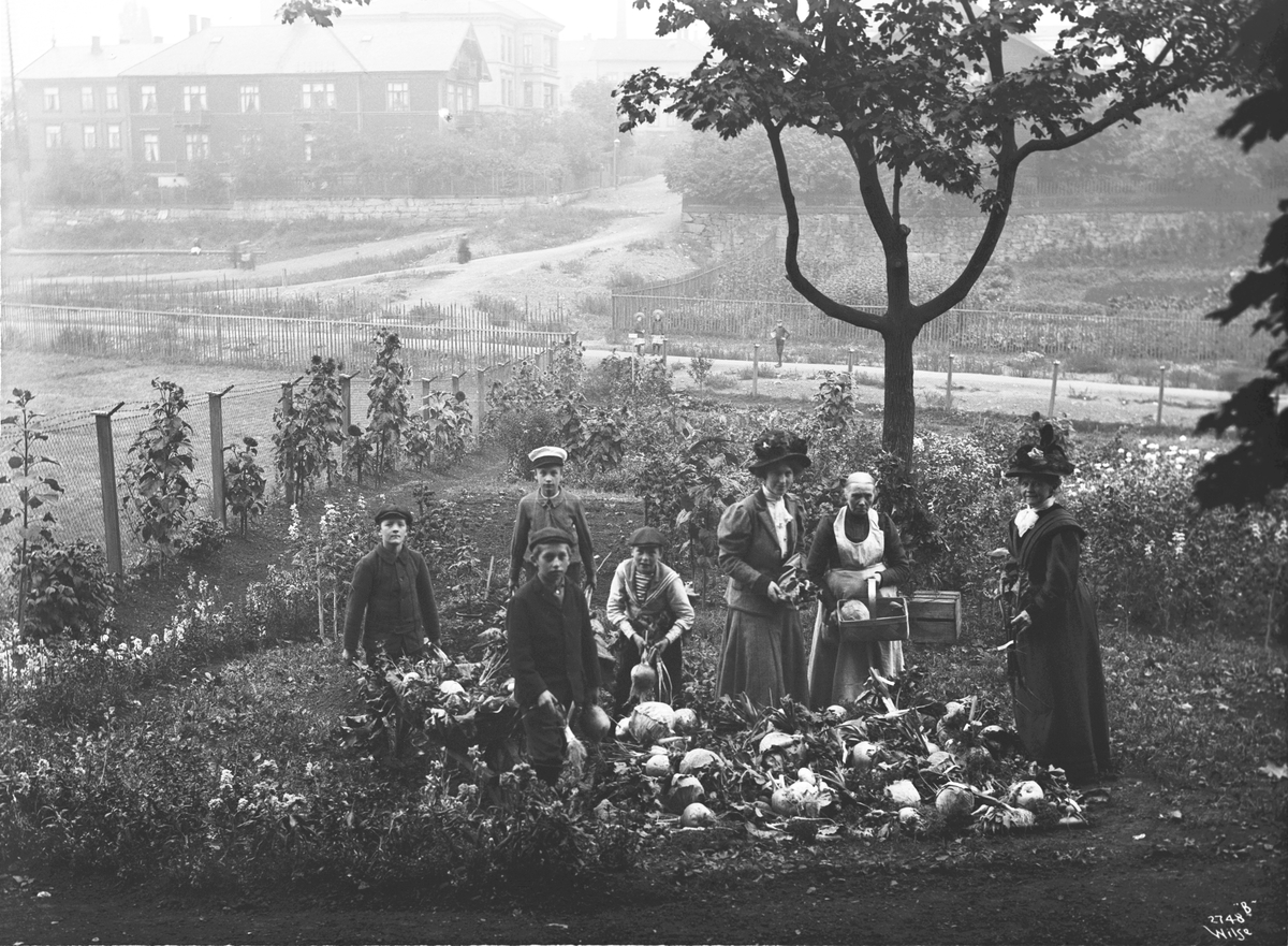 Anders Beer Wilse, Prot: Fra Jörstads Skolehave