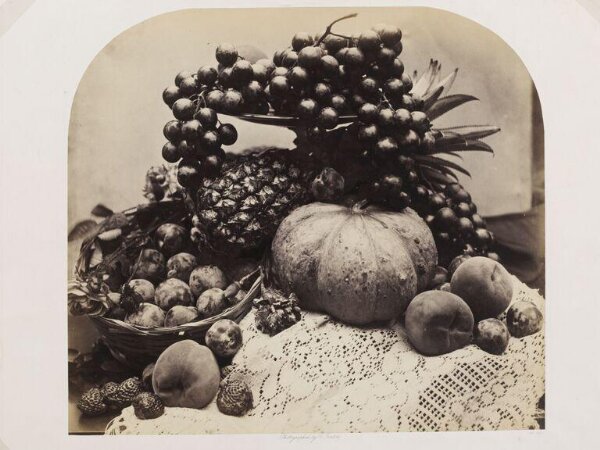 Fenton, Roger, Fruit (melon & fruit)