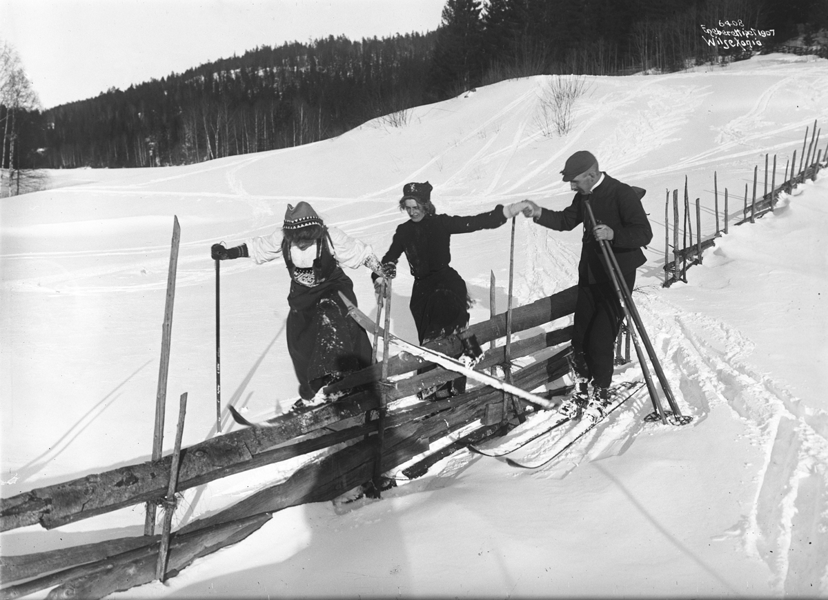 Anders Beer Wilse, Prot: Skifølge over Skigaren 11/3
