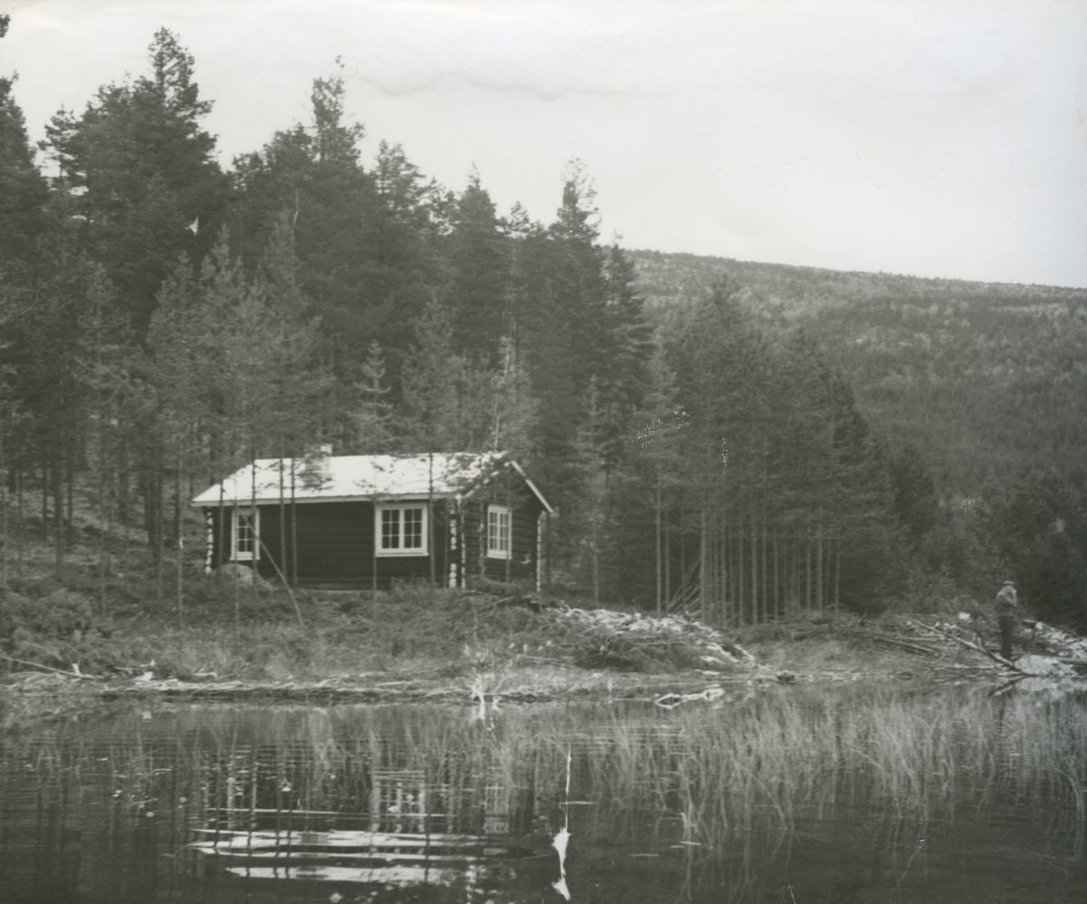 Ellen Brænd, Ved Stortjønnet 1960