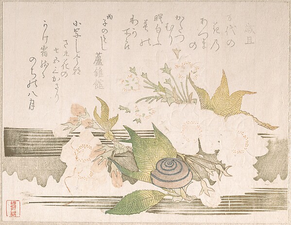 Unidentified artist, Cherry Blossoms and a Snail