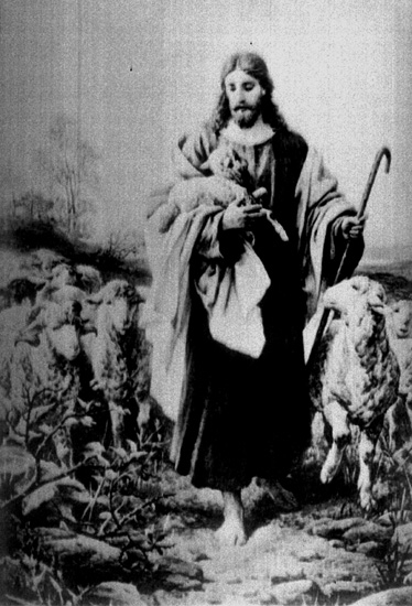 Samuel Lindskog, Painting: Motif of Christ, Sheep.
