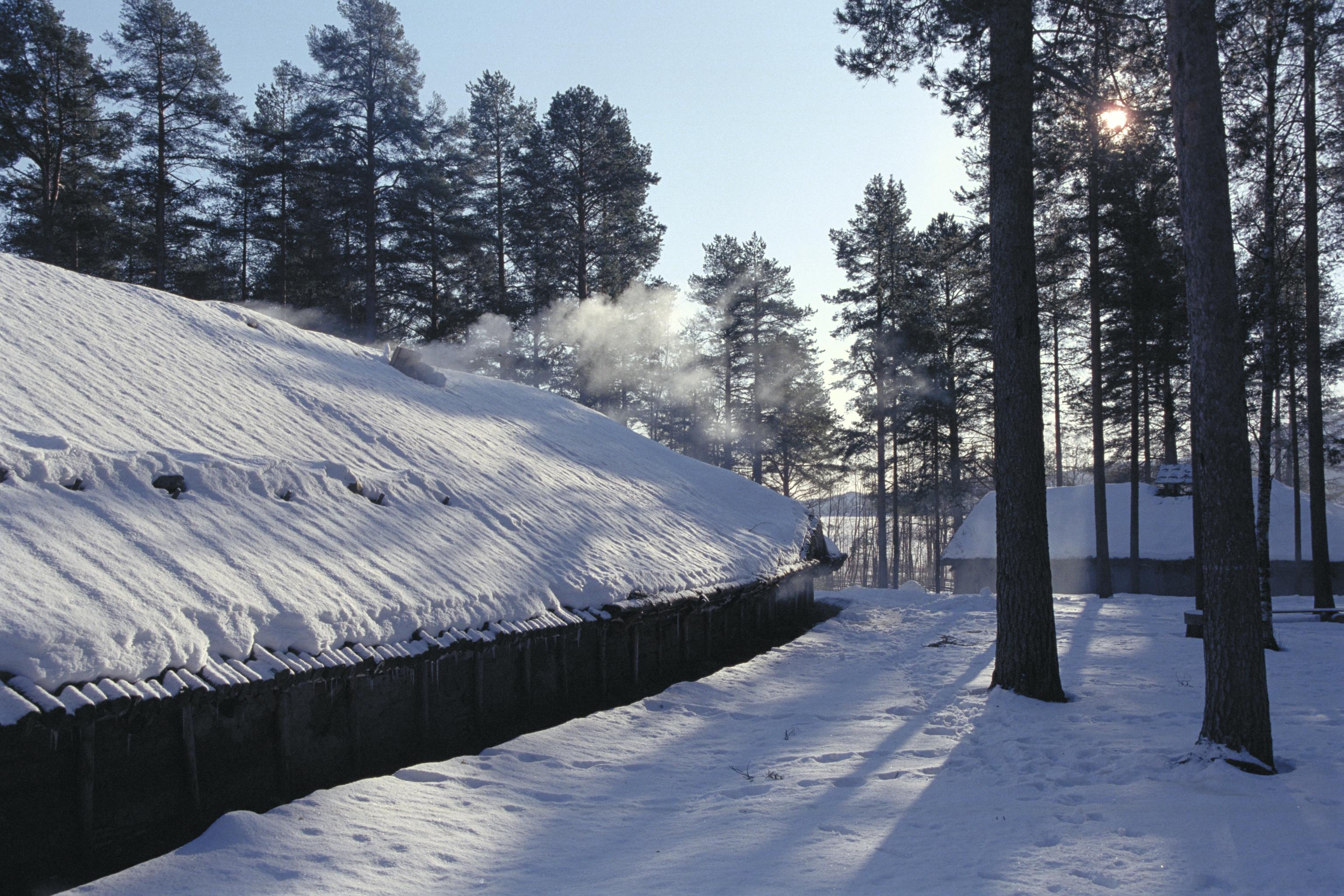 Bengt A Lundberg, Gene fornby
