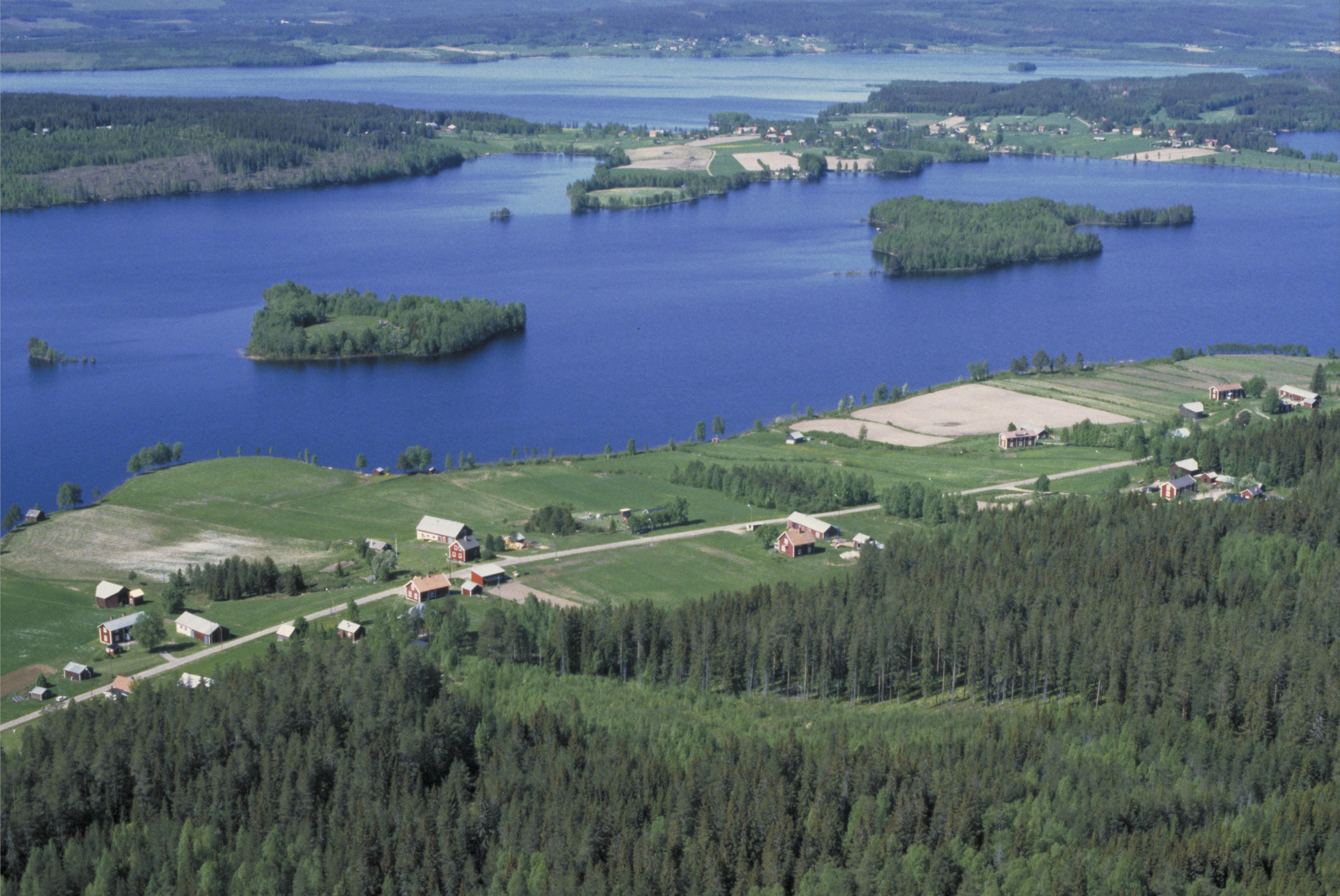 Jan Norrman, Burträsk 132:1