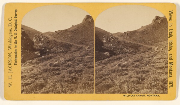 William Henry Jackson, Wild Cat Canon, Montana.