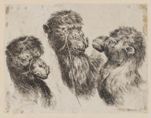 Unknown, Print