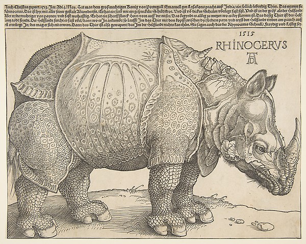 Albrecht Dürer, The Rhinoceros