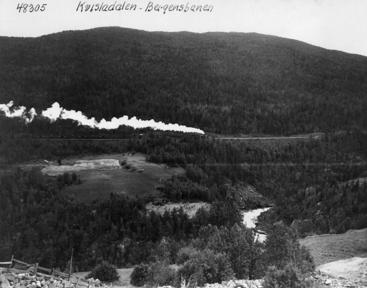 Anders Beer Wilse, Bergensbanen gjennom Kvisladalen.