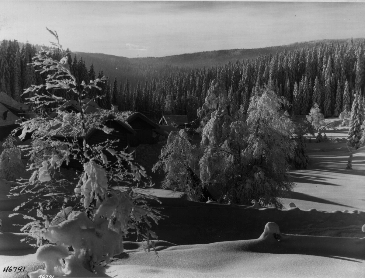 Anders Beer Wilse, Vinter Sno Grua