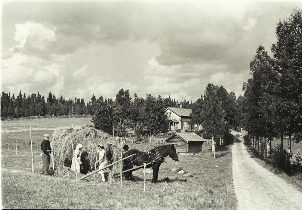 Anders Beer Wilse, Prot: Veien Lördalen