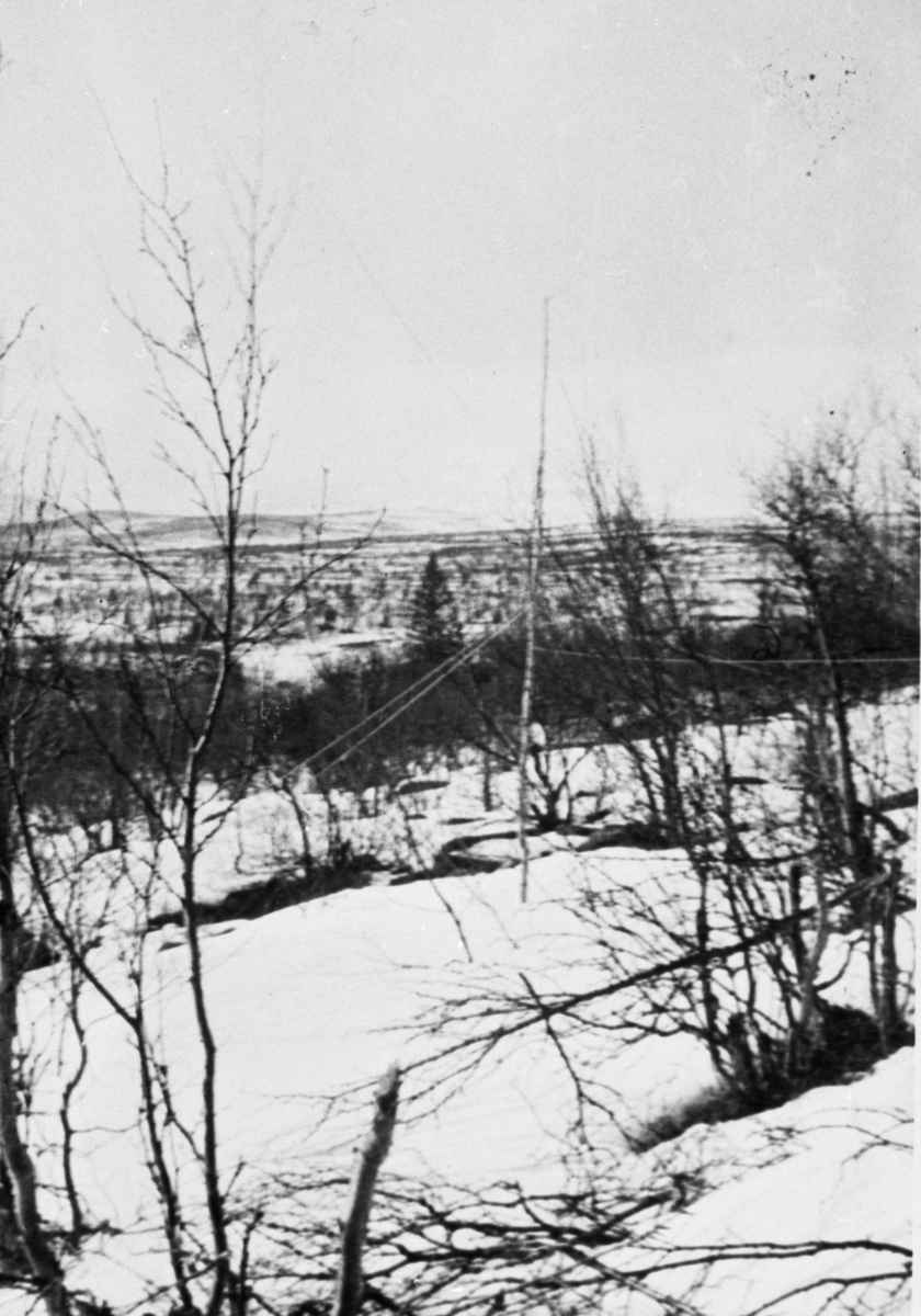 Oddvar Dobloug, Bjørk med radioantenne ved Ruudshytta (Se også MINØ.038002)