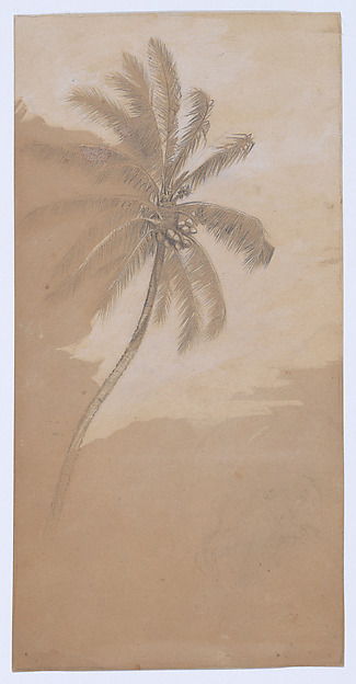 Elihu Vedder, Palm Tree