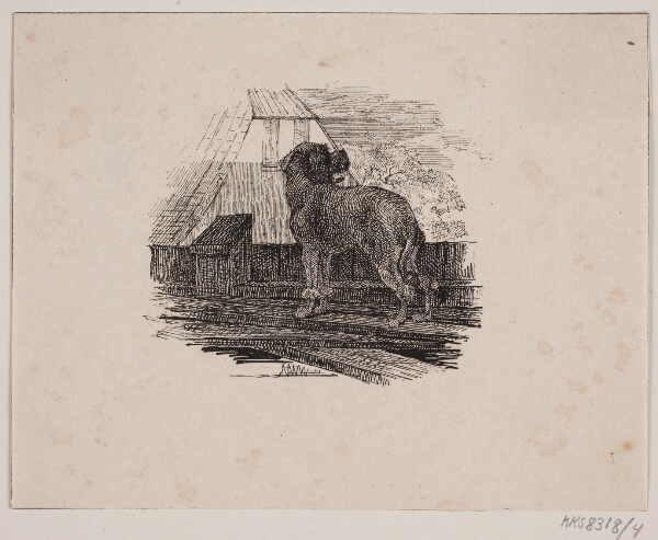 Adolph Kittendorff, Pudelhunden